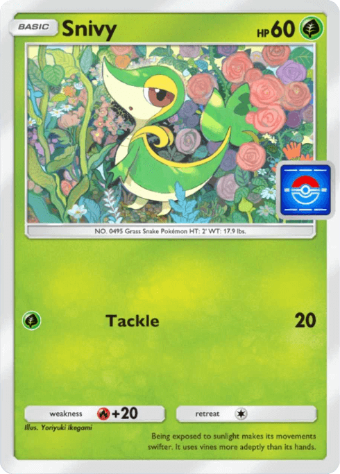 Snivy Promo Promo-A